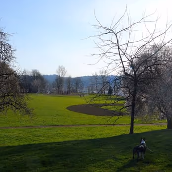 Overlook Park Off Leash Area